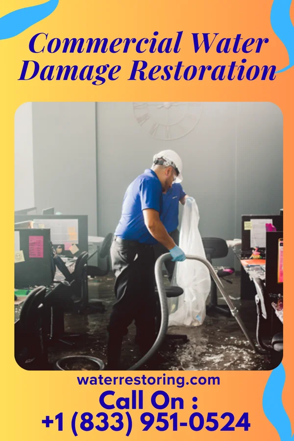 Commercial Water Damage Restoration in Montgomery, MN