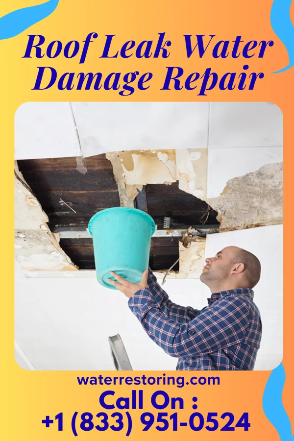 Roof Leak Water Damage Repair in Montgomery, MN