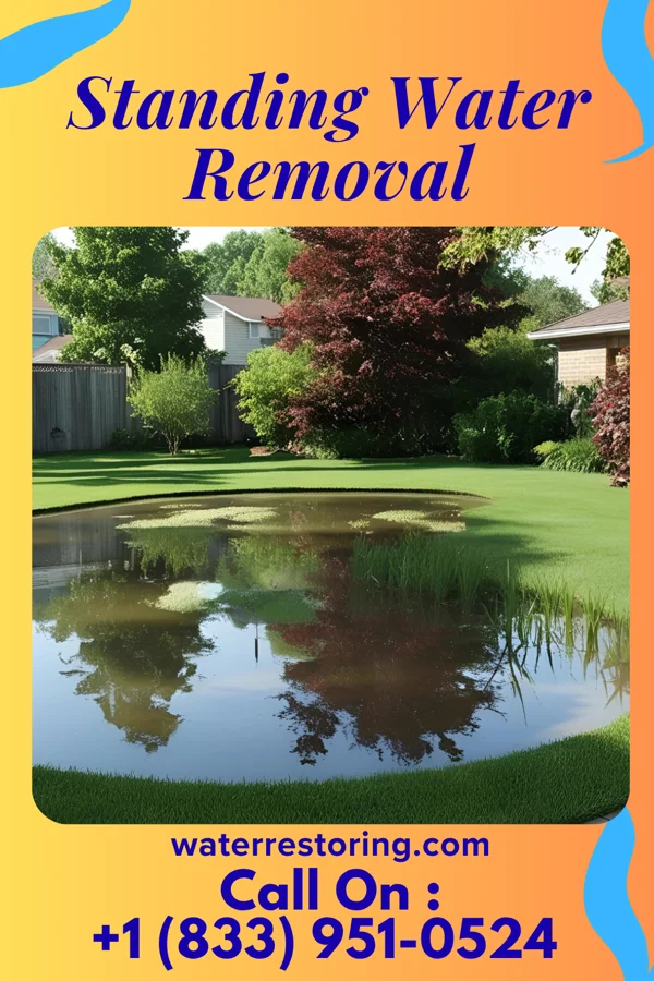 Standing Water Removal in Montgomery, MN